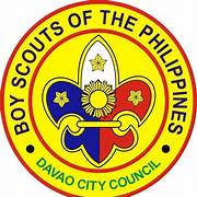 Boy Scouts partner logo
